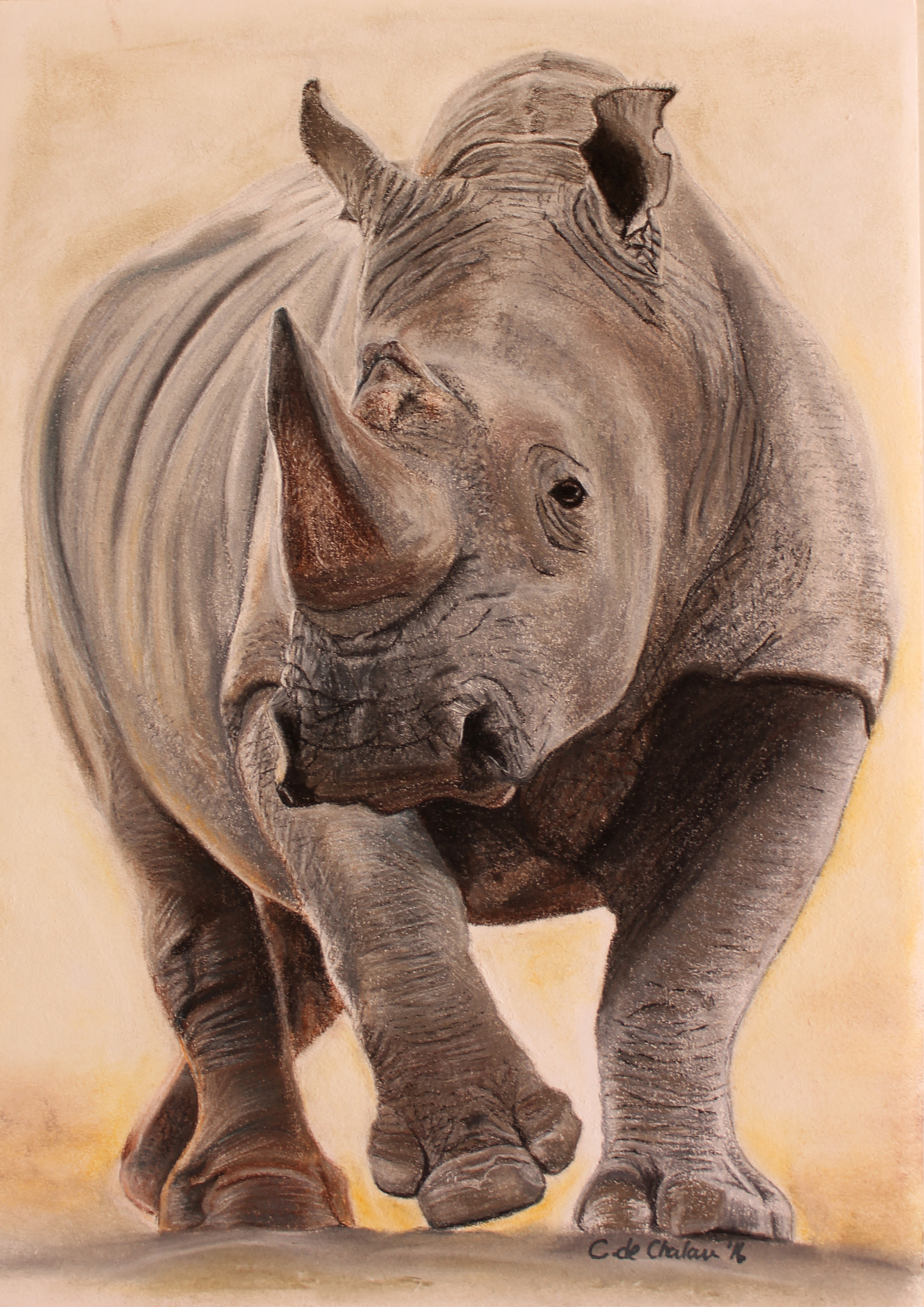 white-rhino-a3