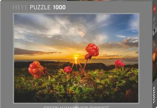 Cloudberries Puzzle Box Image