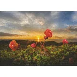 Cloudberries Puzzle Image