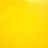 Cadmium Yellow Hue Medium Iris Heavy Body Acrylic