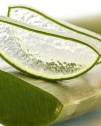 Fragrance Oil – Aloe Vera