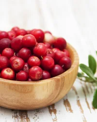 Fragrance Oil – Cranberry