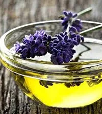 Fragrance Oil – Lavender