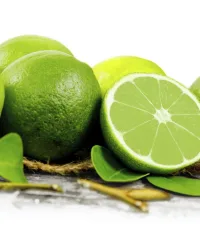 Fragrance Oil – Lime