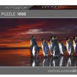 Puzzle - King Penguins Puzzle (1000pce)