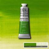 Winton Oil Paints Chrome Green Hue by Winsor Newton