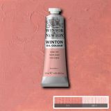 Winton Oil Paints Flesh Tint by Winsor Newton