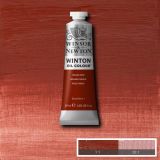 Winton Oil Paints Indian Red by Winsor Newton