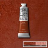 Winton Oil Paints Light Red by Winsor Newton