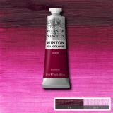 Winton Oil Paints Magenta by Winsor Newton