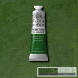 Winton Oil Paints Oxide of Chromium by Winsor Newton