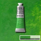 Winton Oil Paints Permanent Green Light by Winsor Newton