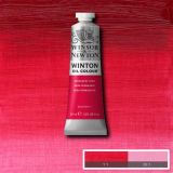 Winton Oil Paints Permanent Rose by Winsor Newton