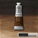 Winton Oil Paints Raw Umber by Winsor Newton