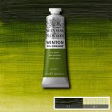 Winton Oil Paints Sap Green by Winsor Newton