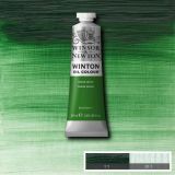 Winton Oil Paints Terre Verte by Winsor Newton