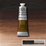 Winton Oil Paints Van Dyke Brown by Winsor Newton