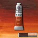 Winton Oil Paints Burnt Sienna by Winsor Newton