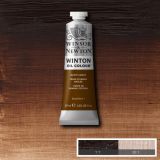 Winton Oil Paints Burnt Umber by Winsor Newton