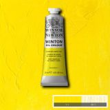 Winton Oil Paints Cadmium Lemon Hue by Winsor Newton