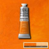 Winton Oil Paints Cadmium Orange Hue by Winsor Newton