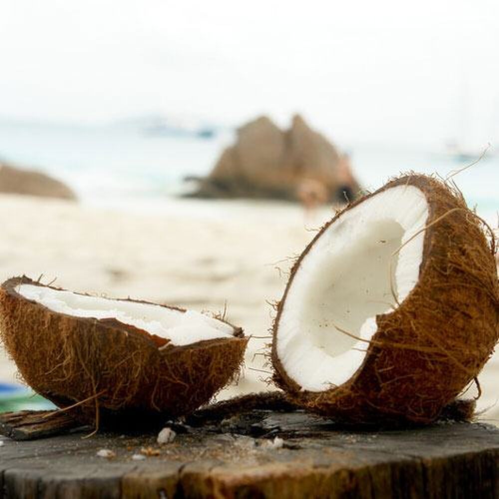 16oz Coconut Calypso - Ultra-Strong Fragrance oil - Northstar3c Candle  Supplies