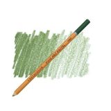 Dark Olive Green pastel pencil