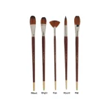 Dynasty Series 8300 Brushes
