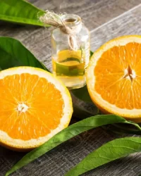 Fragrance Oil – Orange