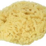 Coarse natural sponge