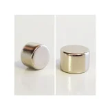 Neodymium (Rare Earth) Disc Magnets - 10x7mm