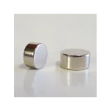 Neodymium (Rare Earth) Disc Magnets - 20x10mm