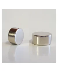 Neodymium (Rare Earth) Disc Magnets – 20x10mm