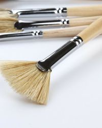 Eterna 305 Fan Brushes