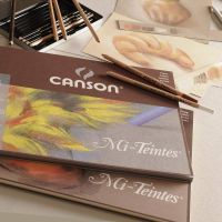 Canson Mi-Teintes Pastel Pads – Brown Tones