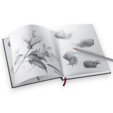 Nostalgie sketch book