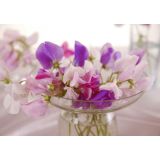 Sweet pea fragrance oil