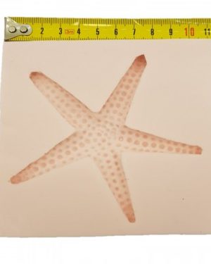 Sea Star silicone mould