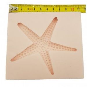 Sea Star silicone mould