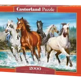 Call of Nature 2000 Piece Puzzle Castorland