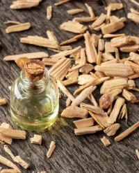 Fragrance Oil – Cedarwood