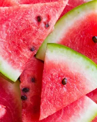 Fragrance Oil – Watermelon