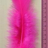 Cerise Feather