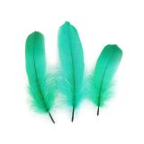 Turkey Feathers – 10 Piece