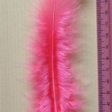 Fuschia Feather