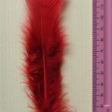 Turkey Feathers – 10 Piece