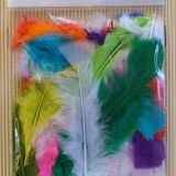 Mix Colours Feather