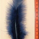 Navy Feather