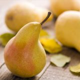 Fragrance Oil Pear