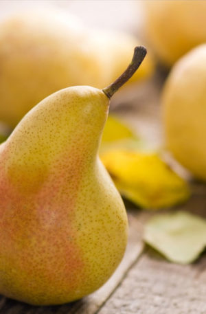 Fragrance Oil Pear